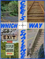cees which way